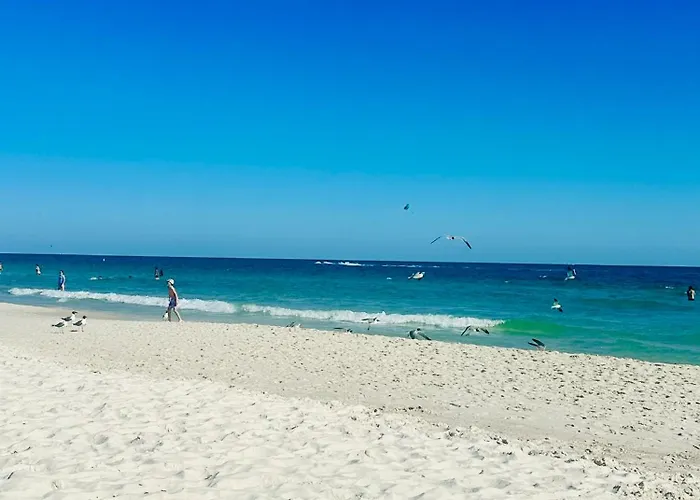 Shell Yeah! At Whispering Pines West Gulf Shores